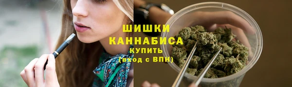 амф Новозыбков