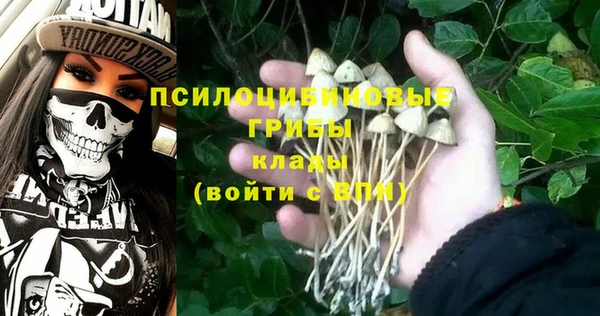ALPHA-PVP Нязепетровск