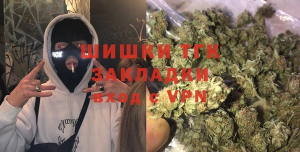 дживик Осинники