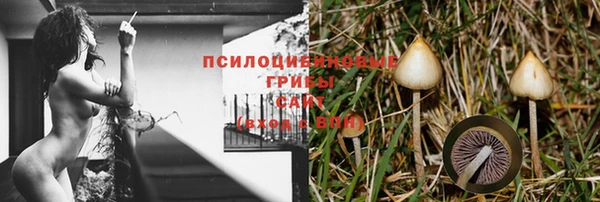 герыч Няндома